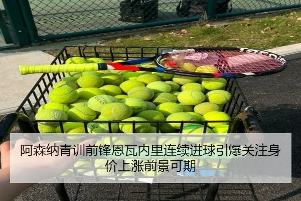 阿森纳青训前锋恩瓦内里连续进球引爆关注身价上涨前景可期